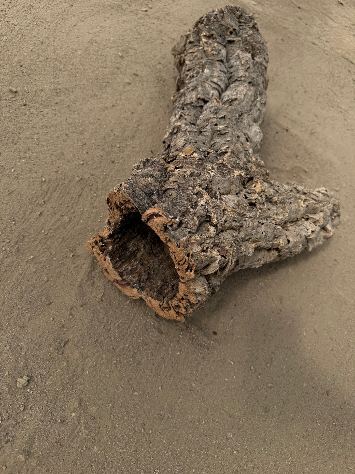 Naturkorkröhre 70 cm – Verzweigtes Einzelstück mit 7–12 cm Öffnungen