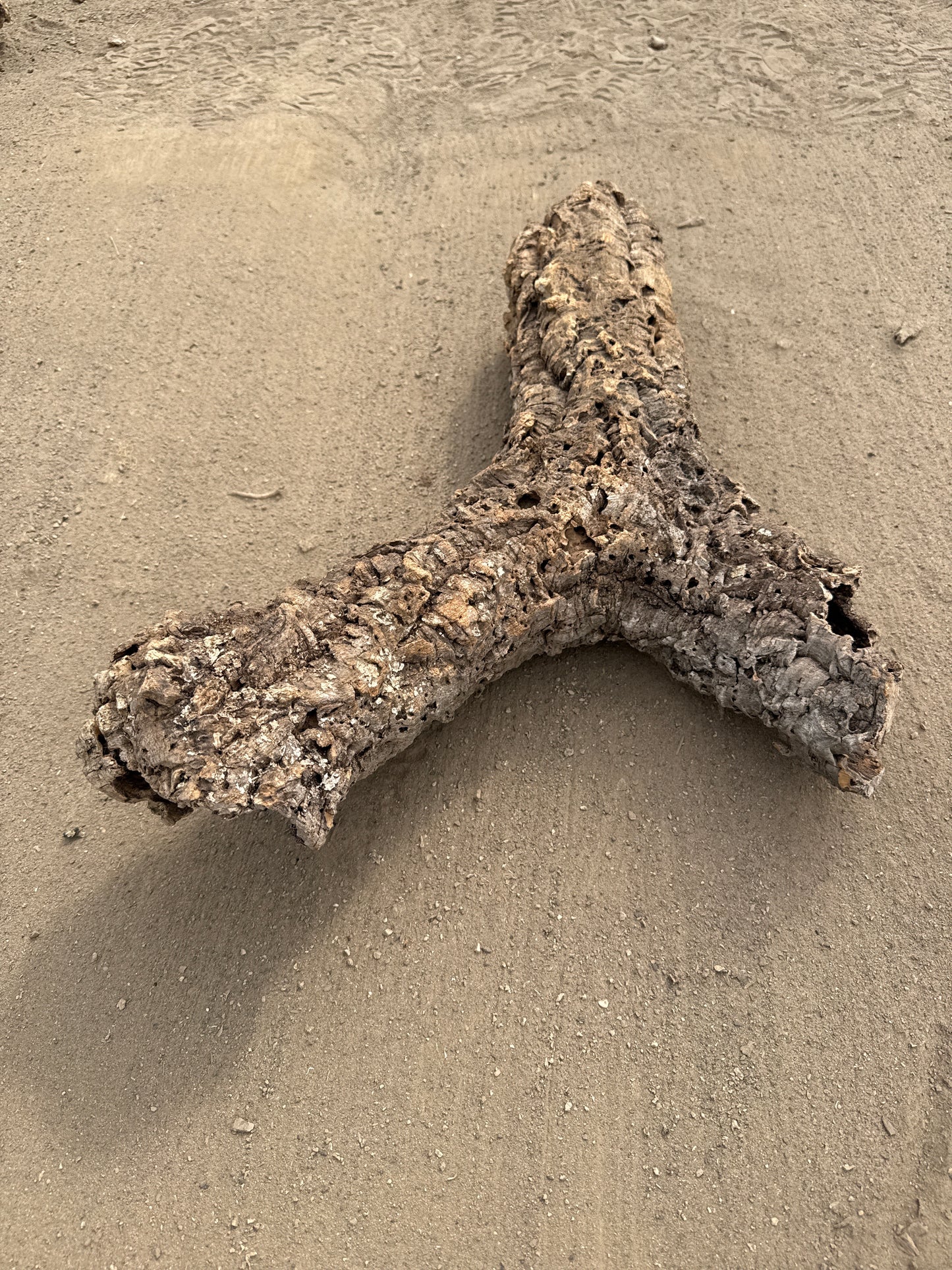 Y-Korkröhre Verzweigte Korkröhre 8-10cm