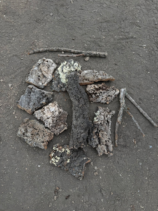 Kork Mischbox (Äste, Röhre, Korkstücke)