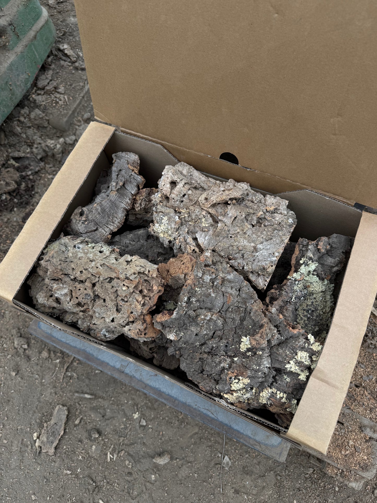 Kork Mischbox (Äste, Röhre, Korkstücke)